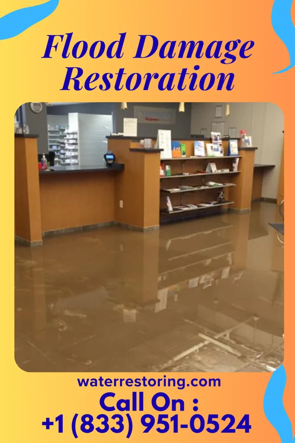 Flood Damage Restoration in Zolfo Springs, FL